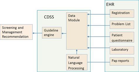 Holistic case study image