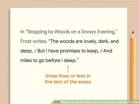 Essays property rental