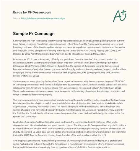 Sample Essay Questions For Pr Campaign Exam